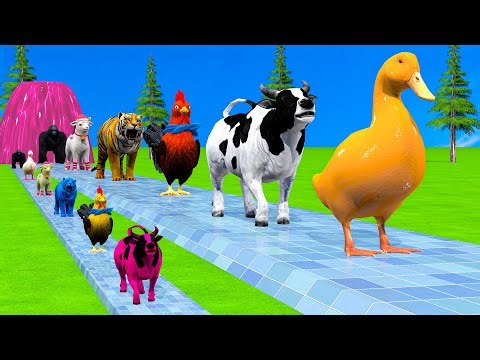 Long Slide Game With Cow Elephant Gorilla Hippopotamus Tiger 3d Animal Game Funny 3d Animals