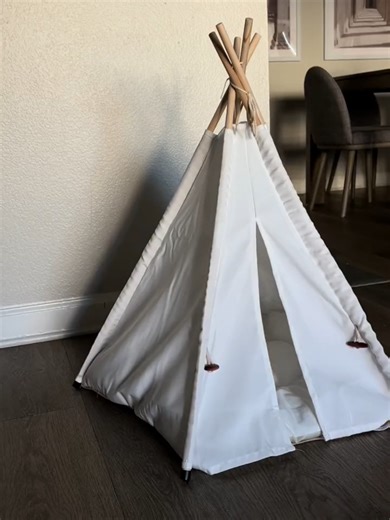 Treat your cat some cozy comfy hideaway, one easy to setup and move ♥ your furbabies gonna love this ♥ #catlady #catmom #catparent #catcare #catgrass