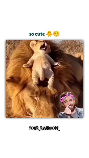 🌸 কবিরুল🍃 on Instagram: "발매된 스페인 세비야 출신 듀오 Los del Río의 곡으로, 스페인에서 먼저 인기를 얻었지만, 이후 라틴아메리카와 미국까지 퍼져나가며 전 세계적인 메가 히트를 기록했습니다. 이 곡이 폭발적으로 퍼진 계기는 바로 1996 애틀랜타 올림픽. 당시 전 세계로 중계된 미국 여자 국가대표 체조팀의 퍼포먼스가 ‘마카레나’의 신나는 리듬과 함께 어우러지면서, 곡의 인기가 폭발적으로 확산되었습니다. 그 결과, 1996년 빌보드 핫 100 차트에서 무려 14주 연속 1위를 차지하며 역사적인 기록을 남겼고 연말 차트 1위를 비롯해 빌보드 올타임 차트 8위에도 오르는 대기록을 세웠습니다. 특히, 영어가 아닌 외국어 노래로 미국 시장에서 이 정도의 성공을 거둔 사례는 지금도 손에 꼽힙니다. 또 다른 성공 요인은 중독적인 춤. 단순하면서도 허리 움직임이 돋보이는 이 안무는 당시 남녀노소에게 큰 인기를 얻었고, 전 세계 사람들이 한 번쯤 따라 해보게 만들었