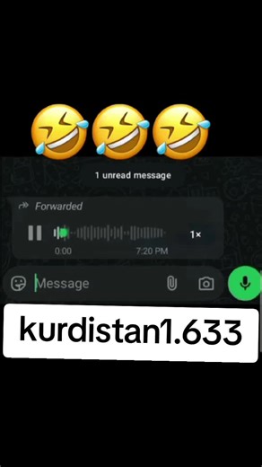 Cultural Insights from Rojava: Kurdistan Perspectives