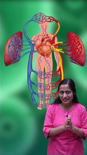 How Your Heart Actually Works ? #concepthogacrystalclear