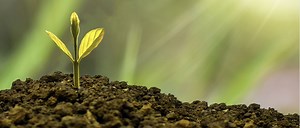 British Science Week Ideas for the Classroom in 2023