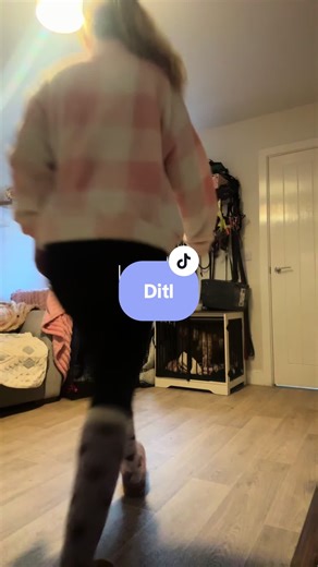 A Day in the Life of a Busy Animal Lover