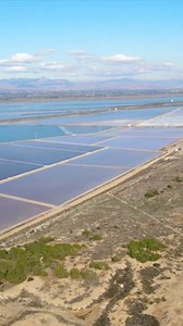 Urlebird · Destination Clothes Free