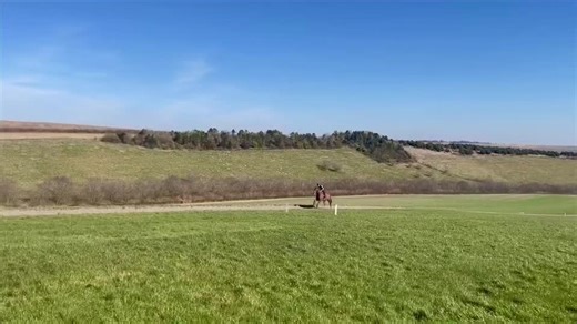 Stuart Kerr on TikTok