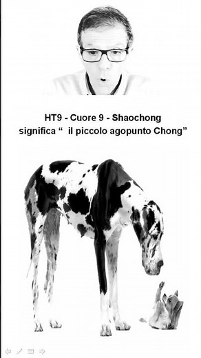 The meaning of HEART 9 in acupuncture