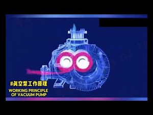 How Do Vacuum Pumps Work? See 5 Types animated! (Liquid Ring, Screw, Roots, Claw, Vane)