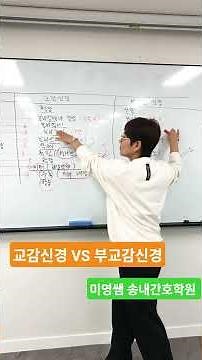 교감신경과 부교감신경을 쉽게 암기하기 #미영쌤 #송내간호학원 #간호 #간호조무사 #부천간호학원 #1호선 #서울간호학원 #교감#부교감