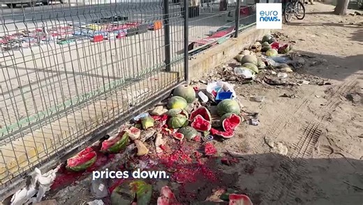 Watermelon glut leaves Romanian farmers in the lurch