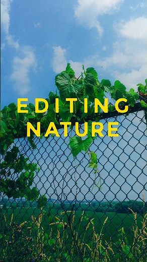 NATURE'S EDIT - RICOH GR III / GR IIIX