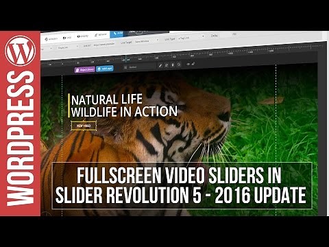 Full Screen Video Sliders in Slider Revolution 5
