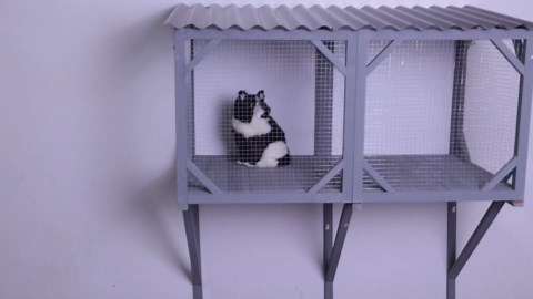 Cat Window Box, 43.3" Catio Outdoor Cats Enclosure for Sunbathing, Napping & Viewing, Window Perch for Large Indoor Cats - All Weather Use, Cat Cage, Ancient White.