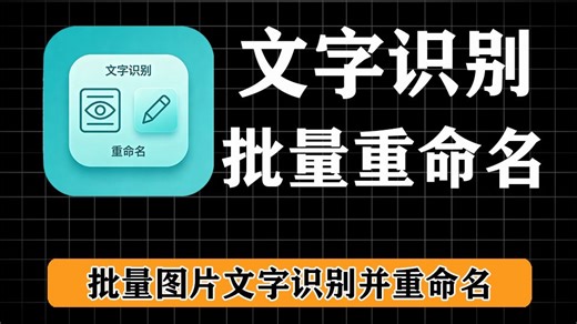 图片批量文字识别并重命名，支持各种图片数据，任意提取