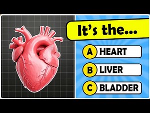 How Many Human Body Parts Can You Guess? 🧠🦴🦵 | General Knowledge Quiz