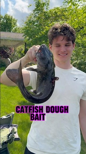How To Use Catfish DOUGH Bait!! 🎣🐟 #shorts #fishing #catfish #fallintoshorts