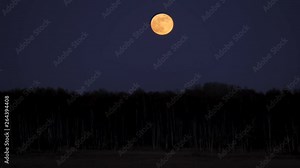 Amazing new full moon and forrest 4k visual resource explainer background youtube cover footage Amager Fælled Copenhagen Denmark