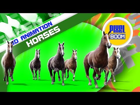 Green Screen Horses Run 3D Animation - PixelBoom