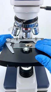 The "Healthy" Chicken Breast—What’s Really Behind It? #foryoupage #microscope #microscope | Tiny.world.lens