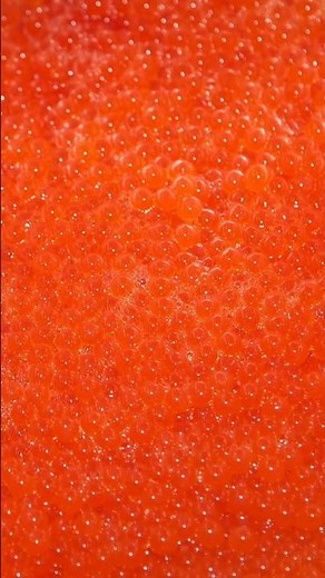 How to Make Salmon Roe Caviar