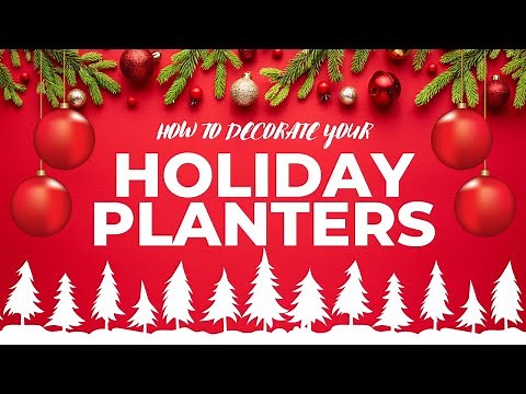 How to Design and Create your Own Holiday Planter (Christmas Porch Pot Tutorial)