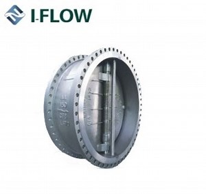 [Hot Item] Supplier Double Flanged Type Double Disc Swing Check Valve