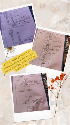 Figure##Drawing #Memories ##note practical#2077 note #Tiktok lover