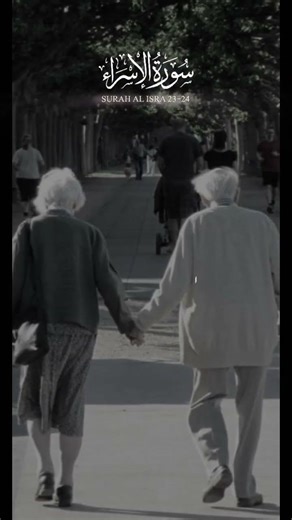 surah Al isra ayat no 23 and 24 translation... #quran #quranrecitation #ayat #parents