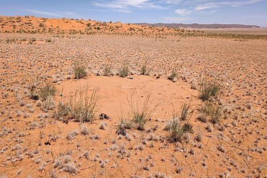 The “Death Zone” – Decoding the Secrets of the Namib Desert’s Fairy Circles