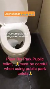 42K views · 355 reactions | Python hiding inside a toilet bowl at Pasir Ris Park, be careful  | Singapore Incidents | Facebook