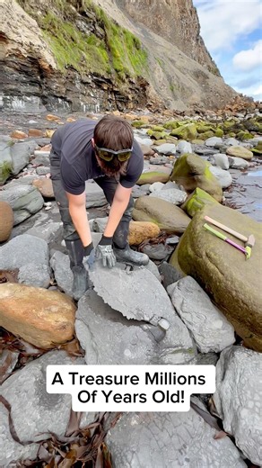 We spotted a MASSIVE shale landslide packed with fossils! 🤯 Then we found these incredible stones