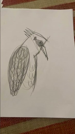 Medium Skill Sketching Lesson:24 Easy Line Kookaburra Poses for Drawing Practice | Hand Drawn