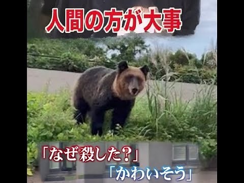 【クマの駆除】「やりたくてやっているわけではない」最前線の現場を悩ませる“相次ぐ批判”「道民の安全を考慮した上で駆除は必要」道外からの批判に理解訴え (23/10/30 21:15)
