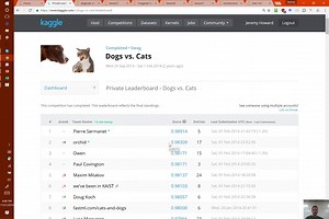 Lesson 5- Practical Deep Learning for Coders