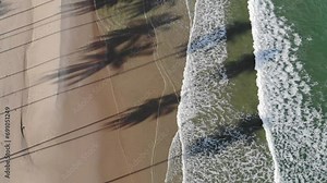 sand beach and sea with shadow of coconut tree,Top view in Thailand,Drone Shot