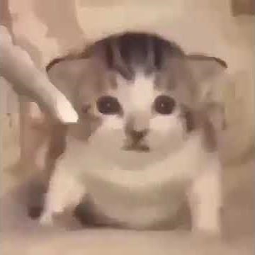 my resolution: airstrike