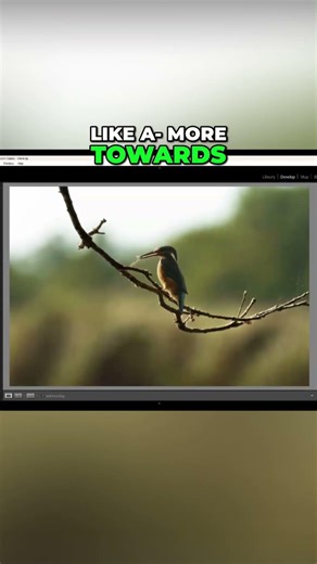 Mastering Angles Photography Tips for Viral Shots