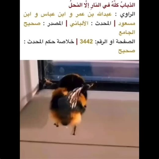 Rust Cohle on Instagram: "Hhhhhhhhhhhhhhhh"