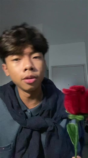 Last Night on Earth Cover by Willows