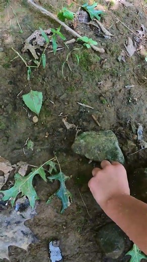 Hunting Arrowheads in the River #treasurehunt #arrowhead #artifacts
