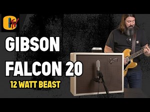 Gibson Falcon 20 Demo