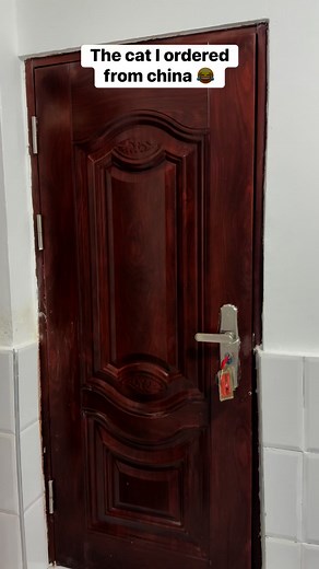 696K views · 20K reactions | Wait for it # | Ayam Pressure King | Facebook