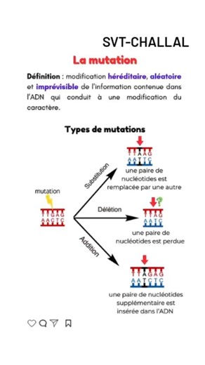 Svt Challal on Instagram: "Types de mutations #svt #maroc #science #bac2026 #biof #mutation"