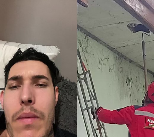 Handling Pythons Safely: Expert Tips and Techniques