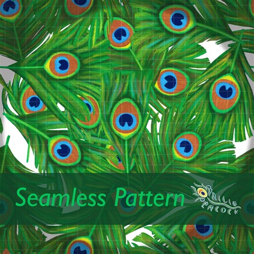Peacock Feather Pattern 3 - Etsy