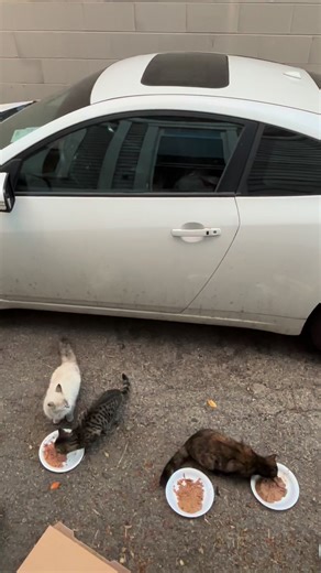 Kevin Trying To Back Talk! 🤣 | Cynthia Reynolds