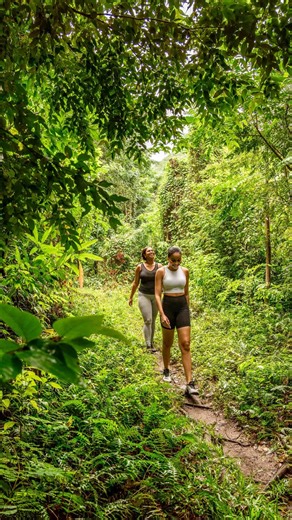 Came for the beach, stayed for the trails. #NevisNaturally | Nevis Naturally