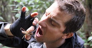 5 of the 'wildest' and most memorable moments from Bear Grylls' Man vs. Wild