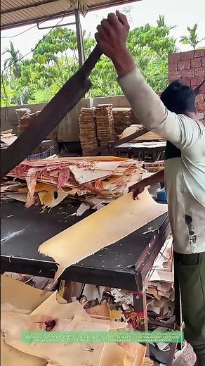 L'Artisan et la lame : Découvrir la technique ancestrale du découpage du bark