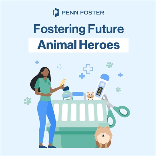 🐾 Love animals? Learn to care for pets and start on your journey to a rewarding career as a Vet Assistant! | Penn Foster
