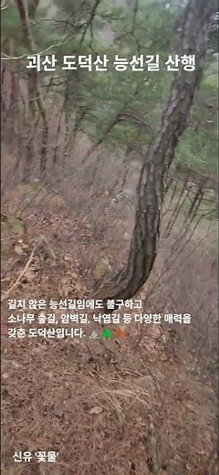 괴산 도덕산 산행(18) #신유 #도덕산 #성불산 #성불산자연휴양림 #괴산